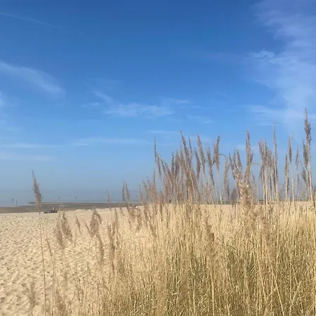 דירה Nordseebrandung A1 5